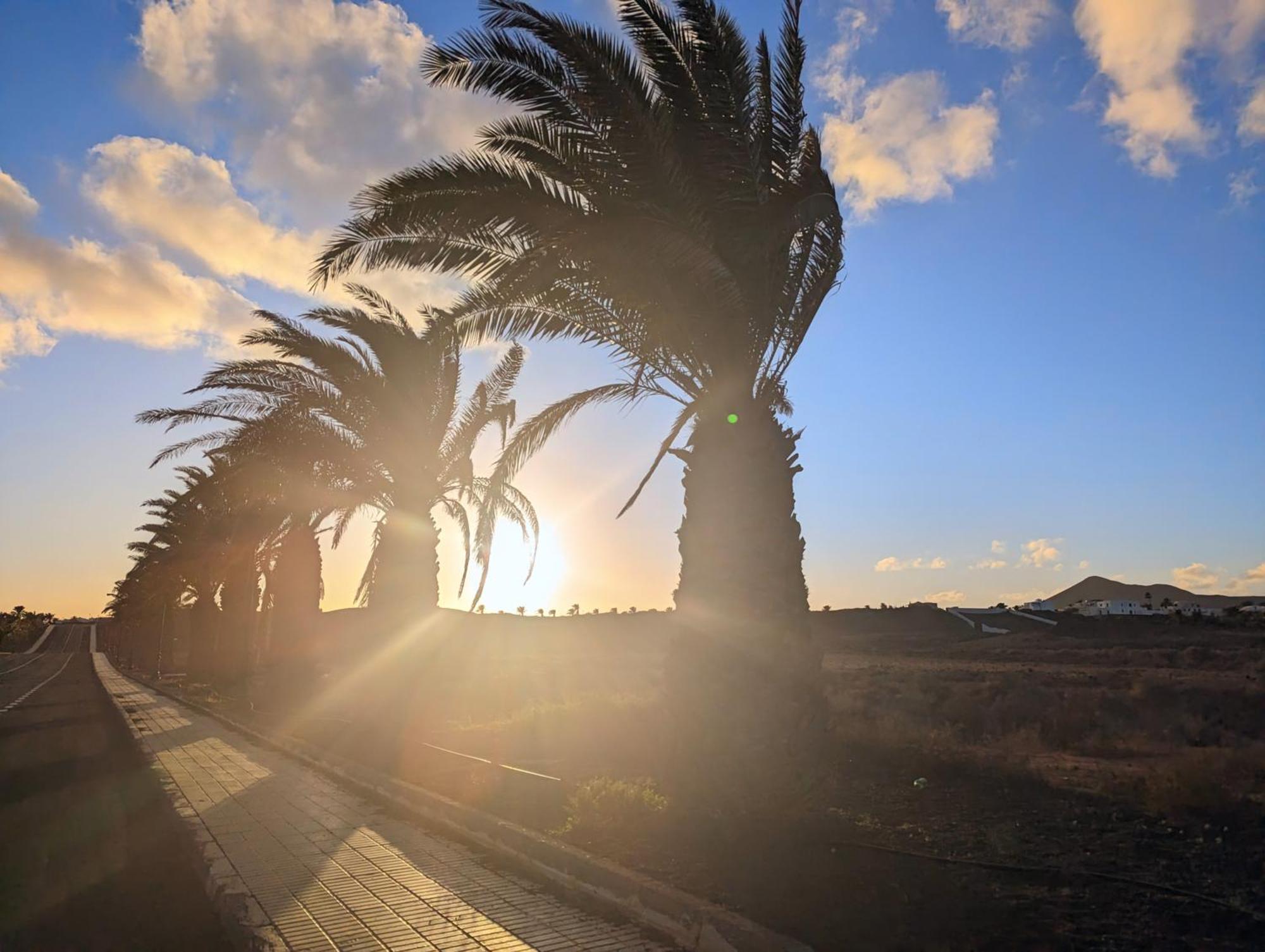 Charming Flat In Los Molinos With Terrace & Pools, Near Playa Bastian Costa Teguise Eksteriør bilde